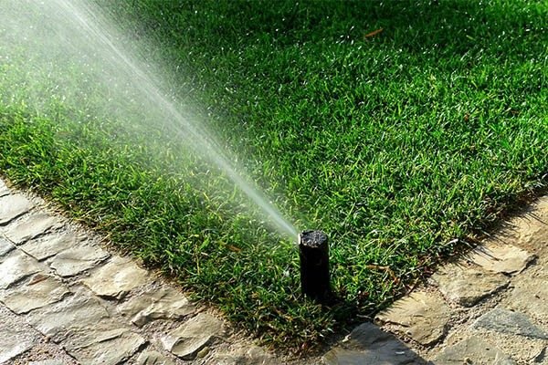 budget-sprinkler-irrigation-system-installation