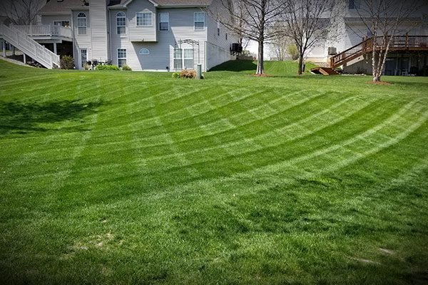 gorgeous-lawn-service-candid-land-maintenance