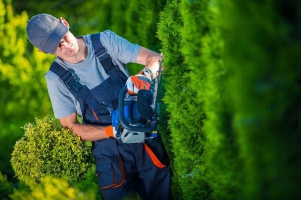 hedge-trimming-600x400